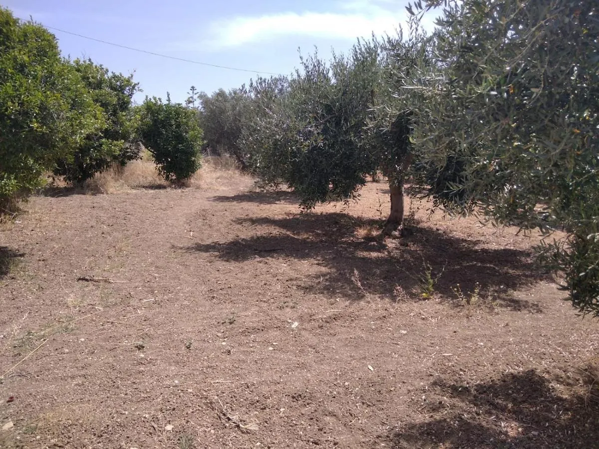 ** Frühstückspension Bed and Breakfast Capinera Agrigent Italien