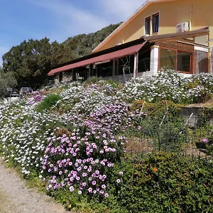 Ristoro Calalunga A 200 M Dalla , Cala Sapone Italia
